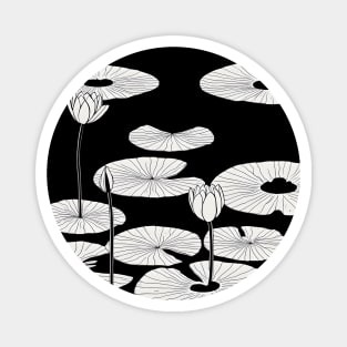 Water lilies black and white Magnet